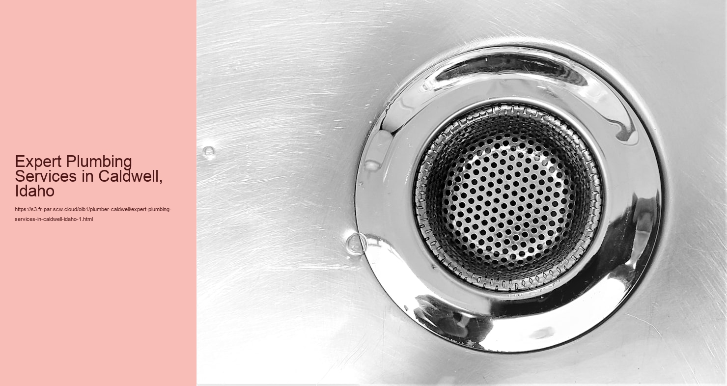 Expert Plumbing Services in Caldwell, Idaho