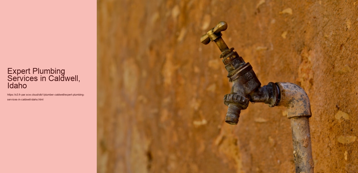 Expert Plumbing Services in Caldwell, Idaho  