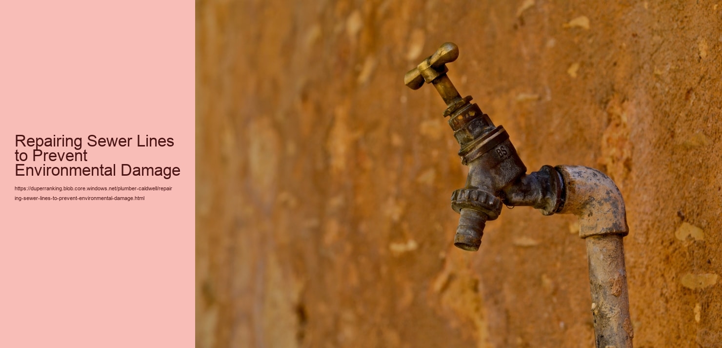 Repairing Sewer Lines to Prevent Environmental Damage  