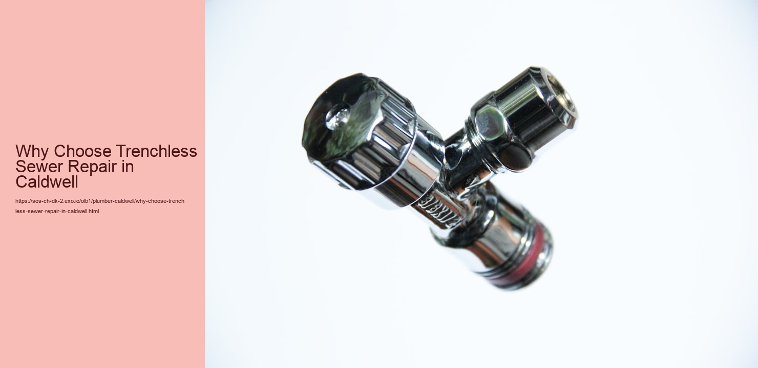Why Choose Trenchless Sewer Repair in Caldwell  