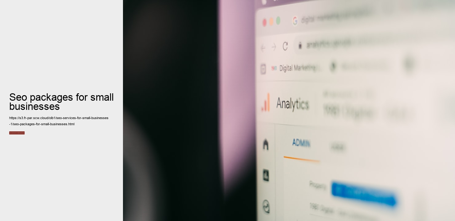 seo packages for small businesses  seo packages for small businesses