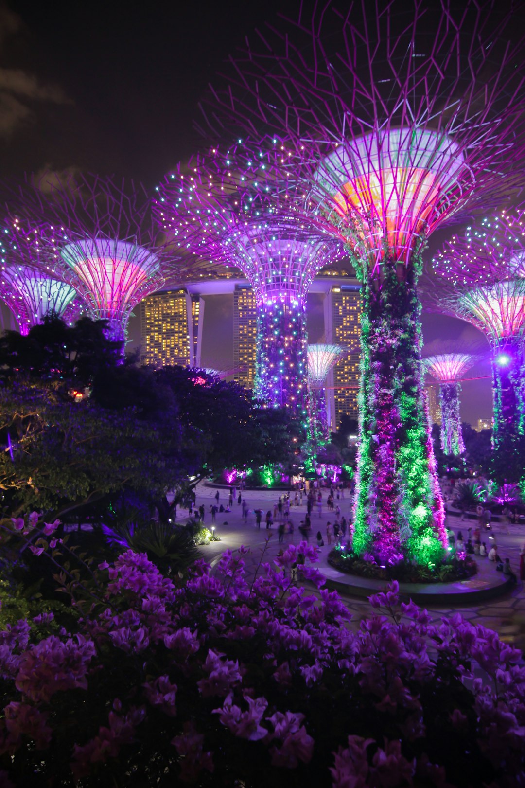 Exclusive Dining Deals to Enjoy