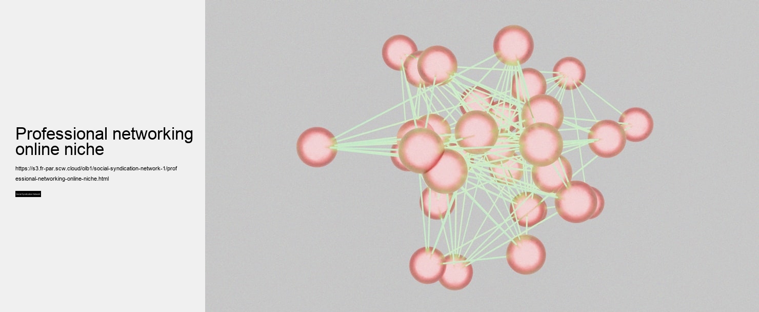 professional networking online niche