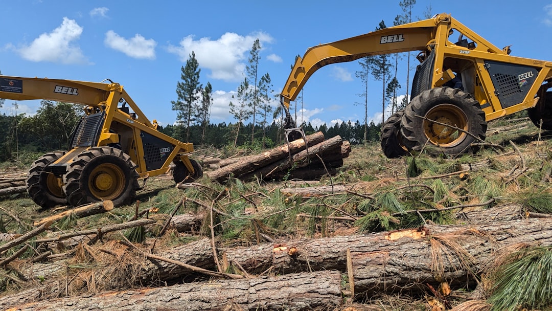 tree removal tools  
