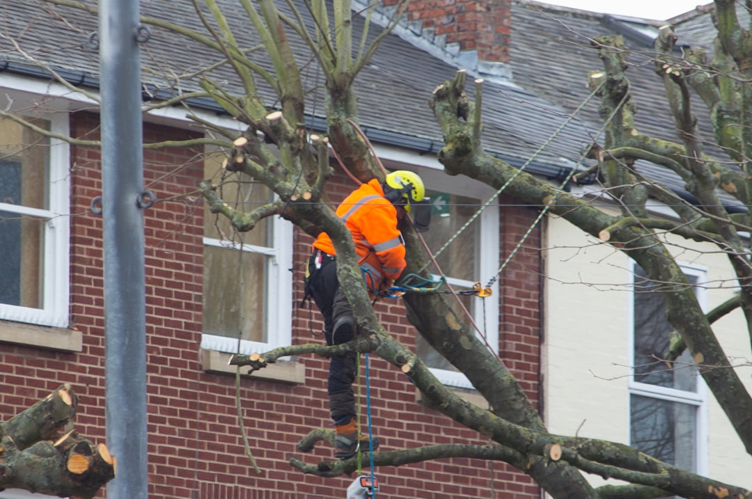 safe tree cutting methods  