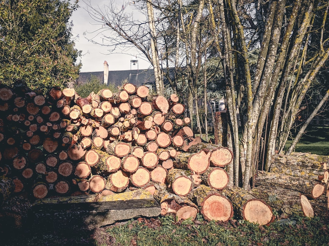 tree service near downtown Racine  