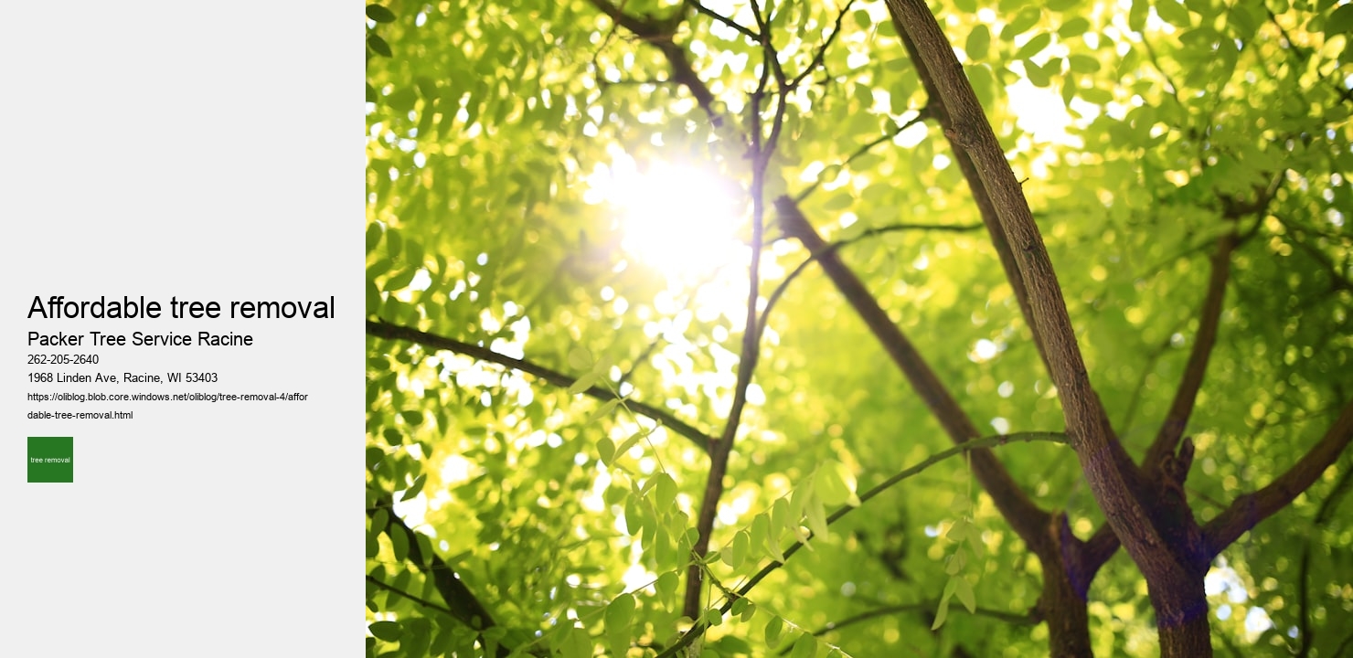 affordable tree removal