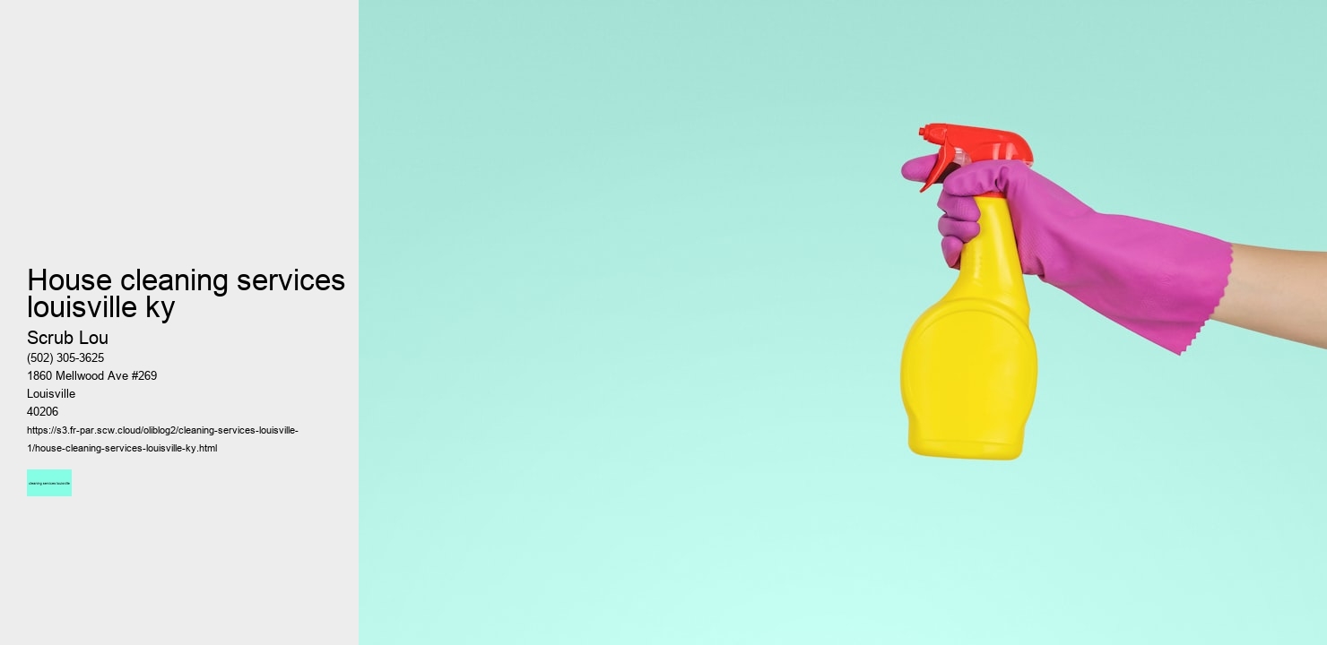 house cleaning services louisville ky