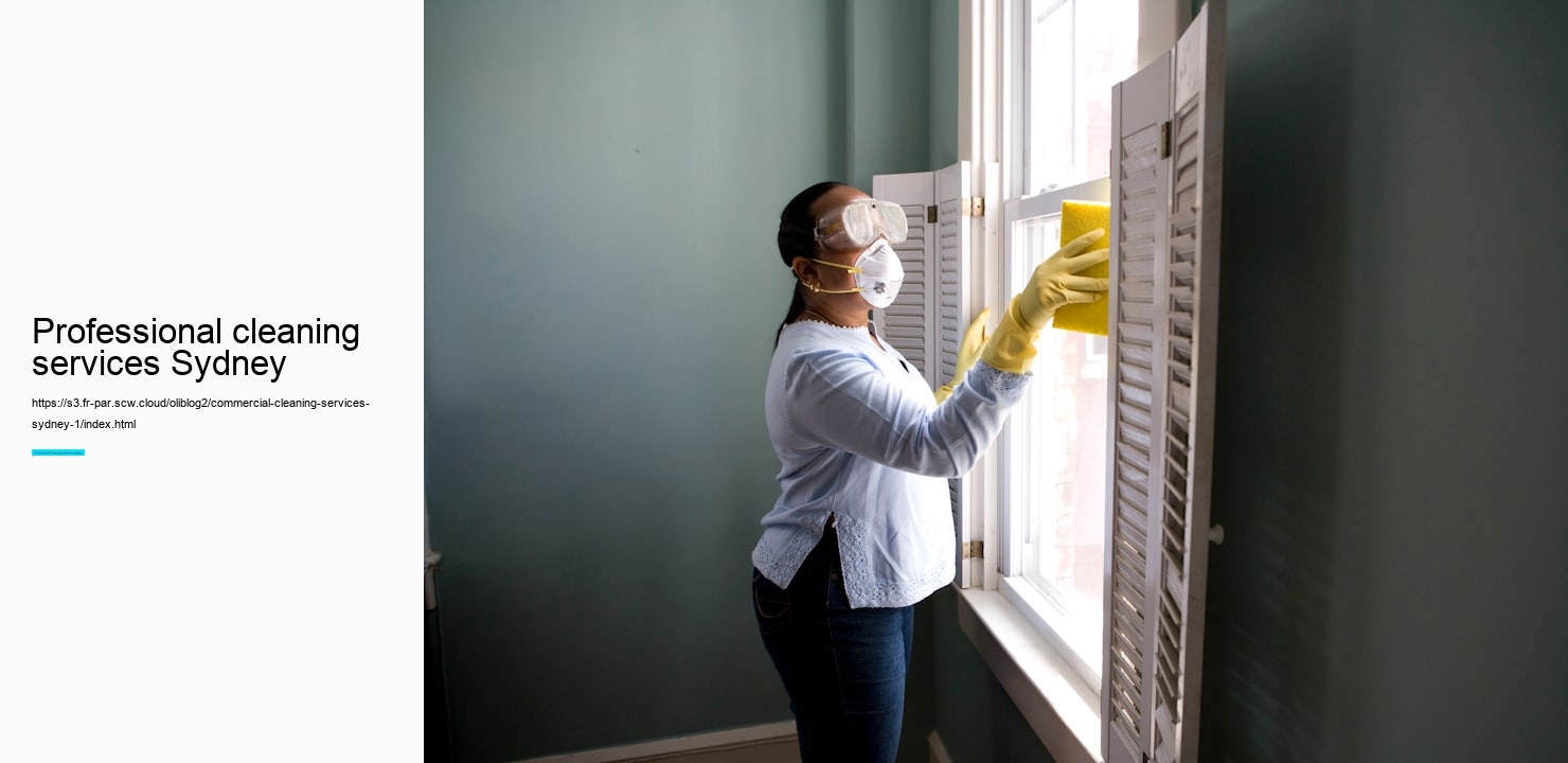 professional cleaning services Sydney
