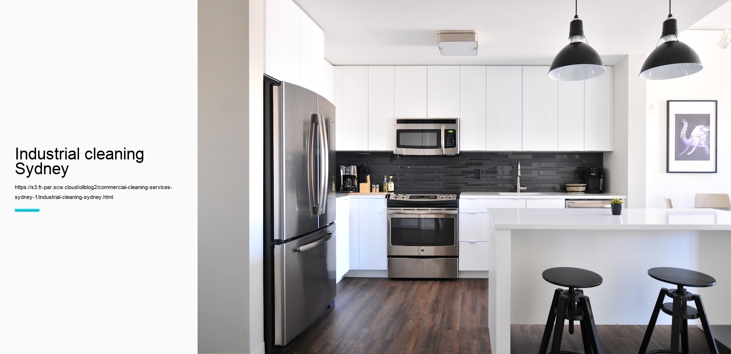 professional cleaning services Sydney
