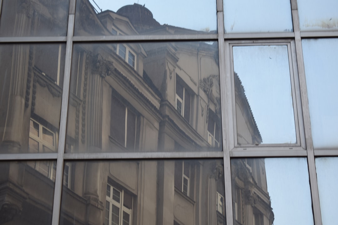 business window tinting  