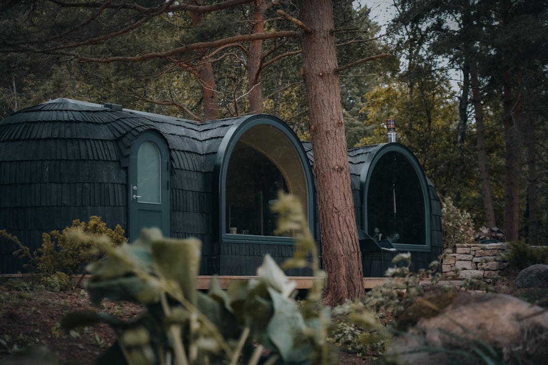 Energy efficient saunas