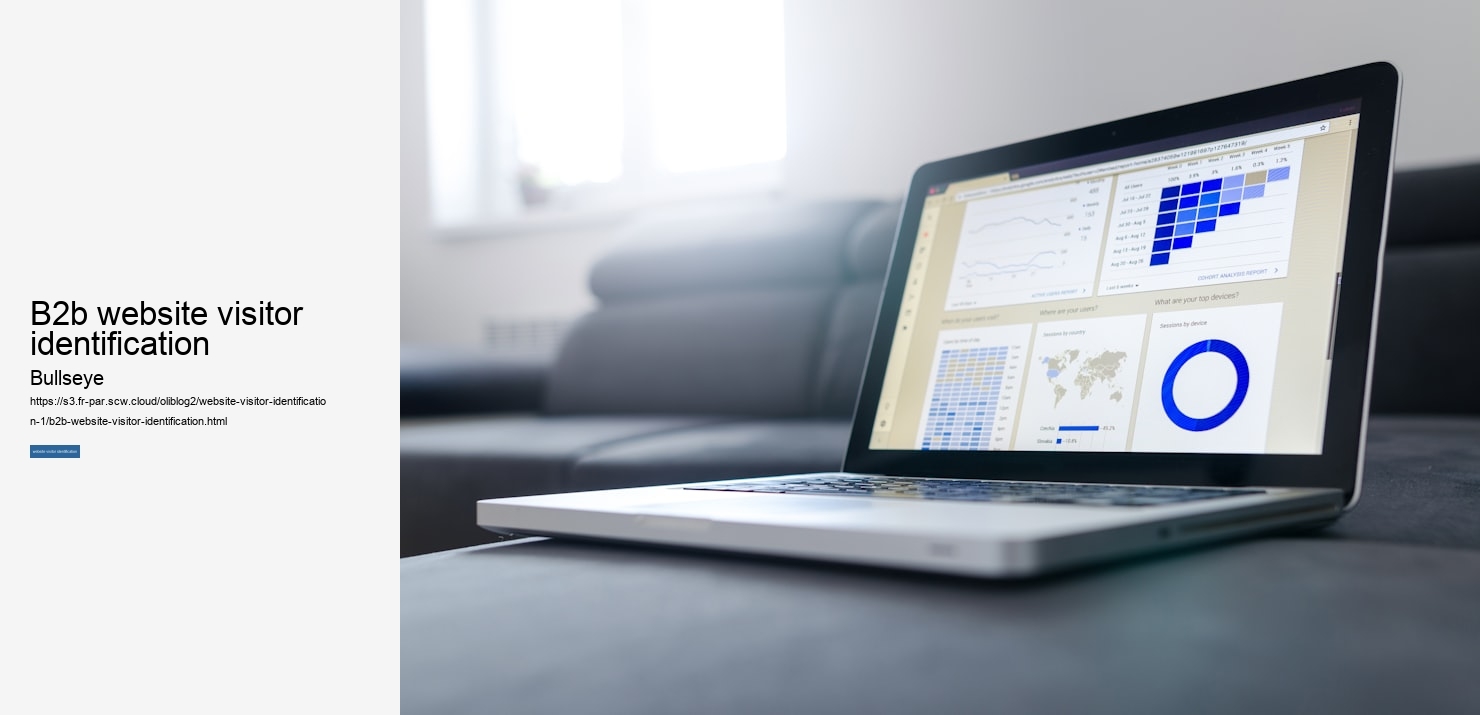 b2b website visitor identification