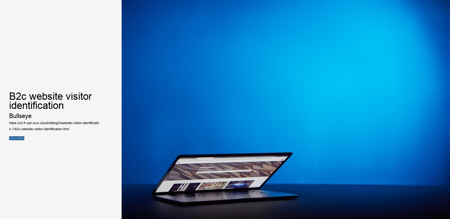 b2c website visitor identification