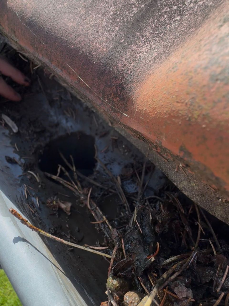 Extraction de la boue, feuilles présents dans la gouttière