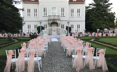 Sandalye Kiralama: En İyi Seçenekler ve İpuçları