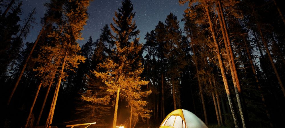 How to Camp Like a Pro: Secrets Only Expert Campers Know