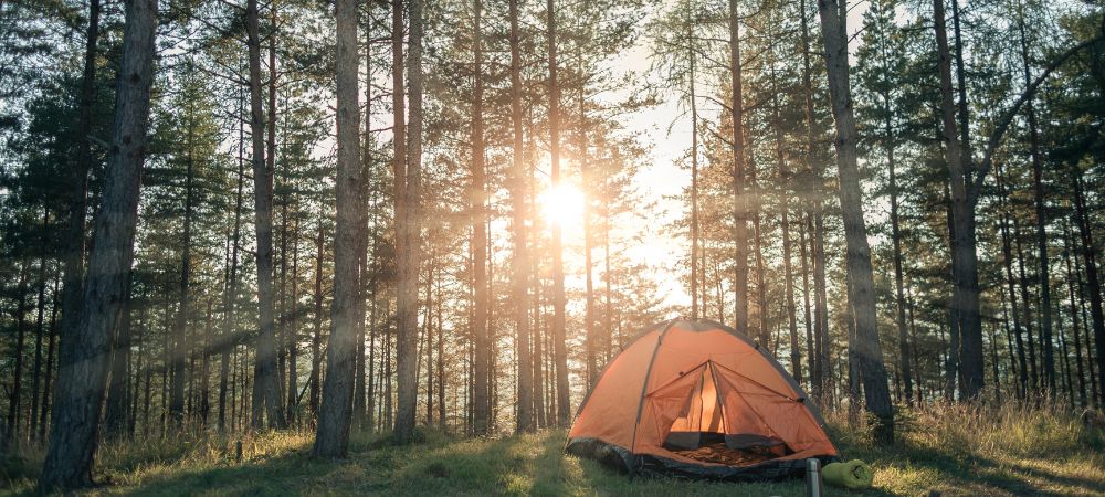 What Is the Best Camping Gear for Beginners?