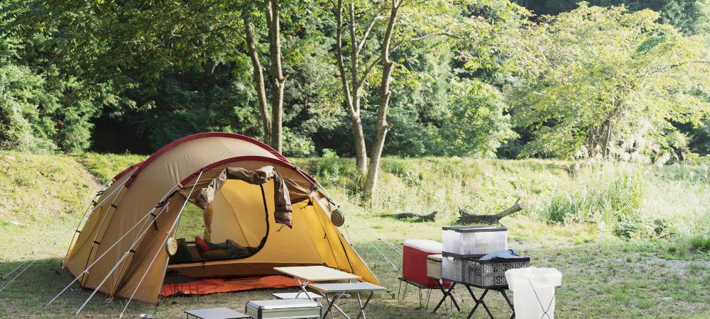 Best Camping Destinations in [Your Region or Country]