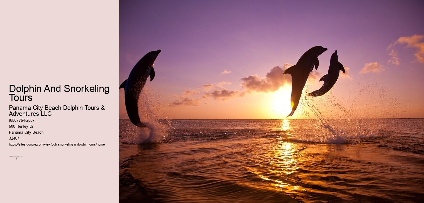 Dolphin And Snorkeling Tours