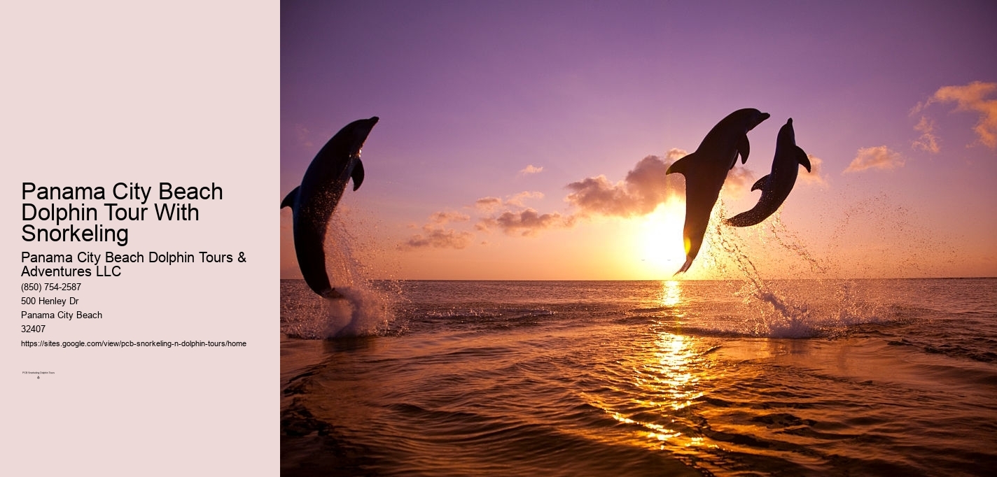 Panama City Beach Dolphin Tour With Snorkeling