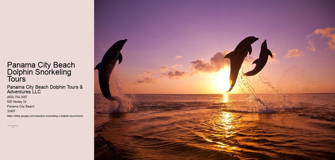 Panama City Beach Dolphin Snorkeling Tours