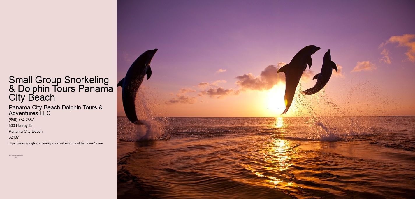 Small Group Snorkeling & Dolphin Tours Panama City Beach