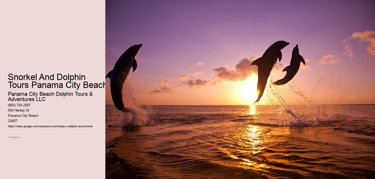 Snorkel And Dolphin Tours Panama City Beach