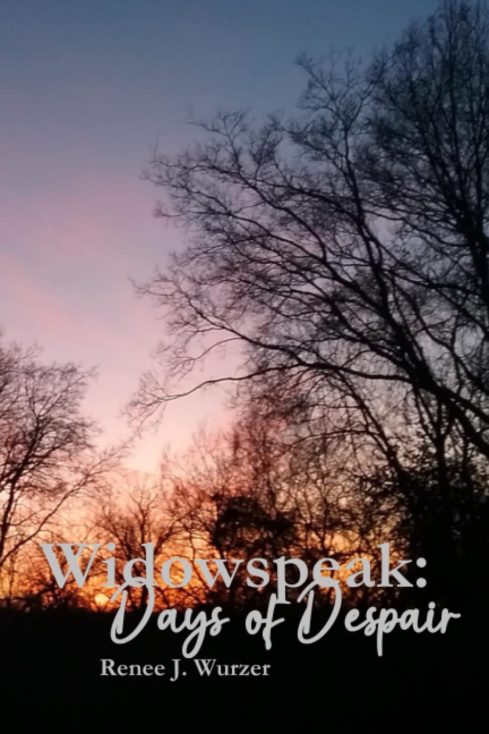 Widowspeak: Days of Despair