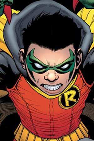 Robin V