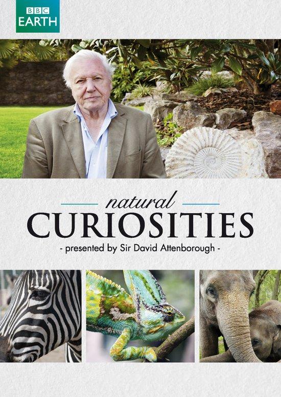 Natural Curiosities - Series 4