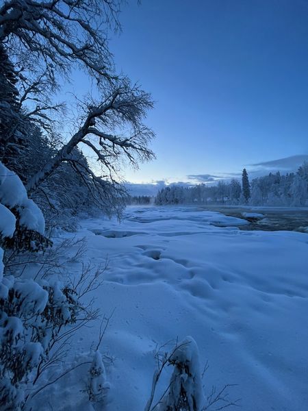 Nature