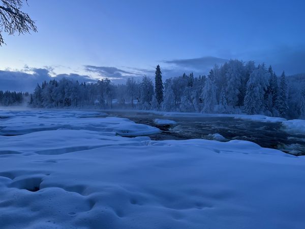 Nature