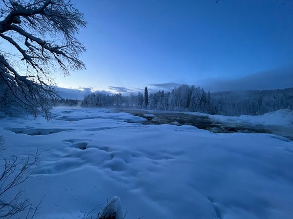 Nature