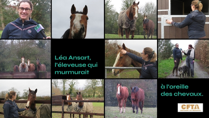 Murmurer à l’oreille des chevaux