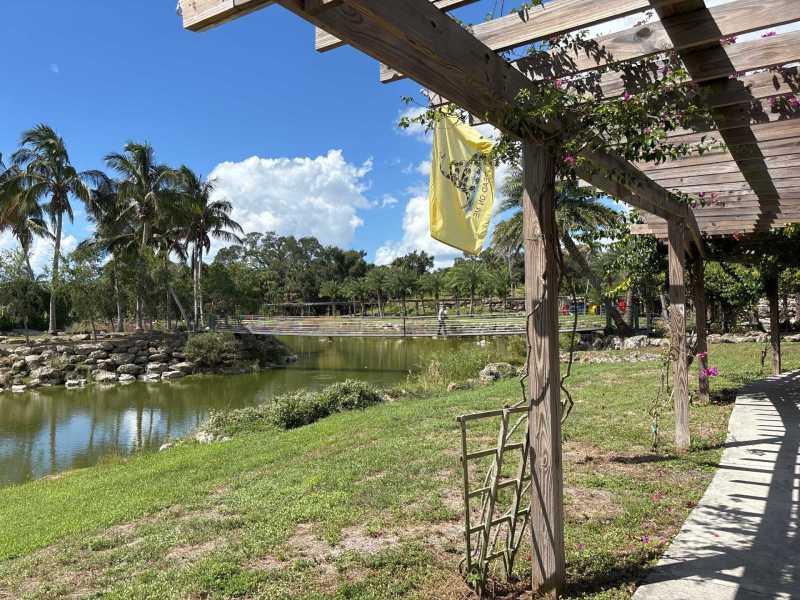 Termite monitoring Arcadia