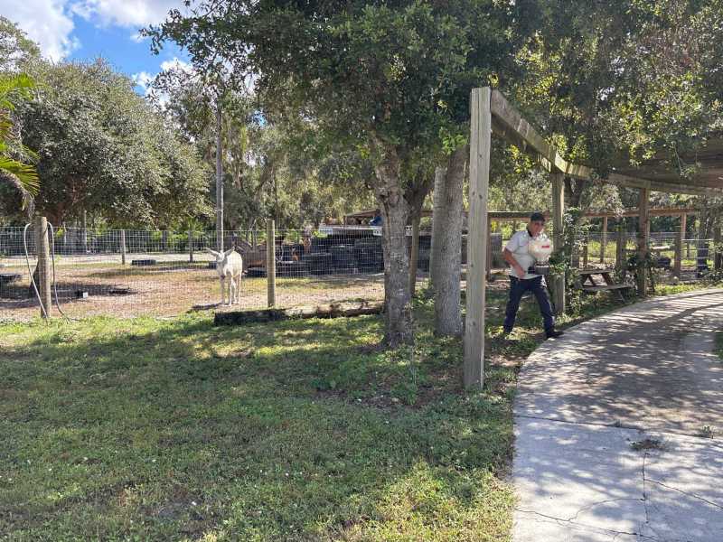 Emergency Residential Pest Control Fort Myers