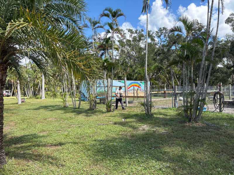 Mosquito Control For Homes Fort Myers