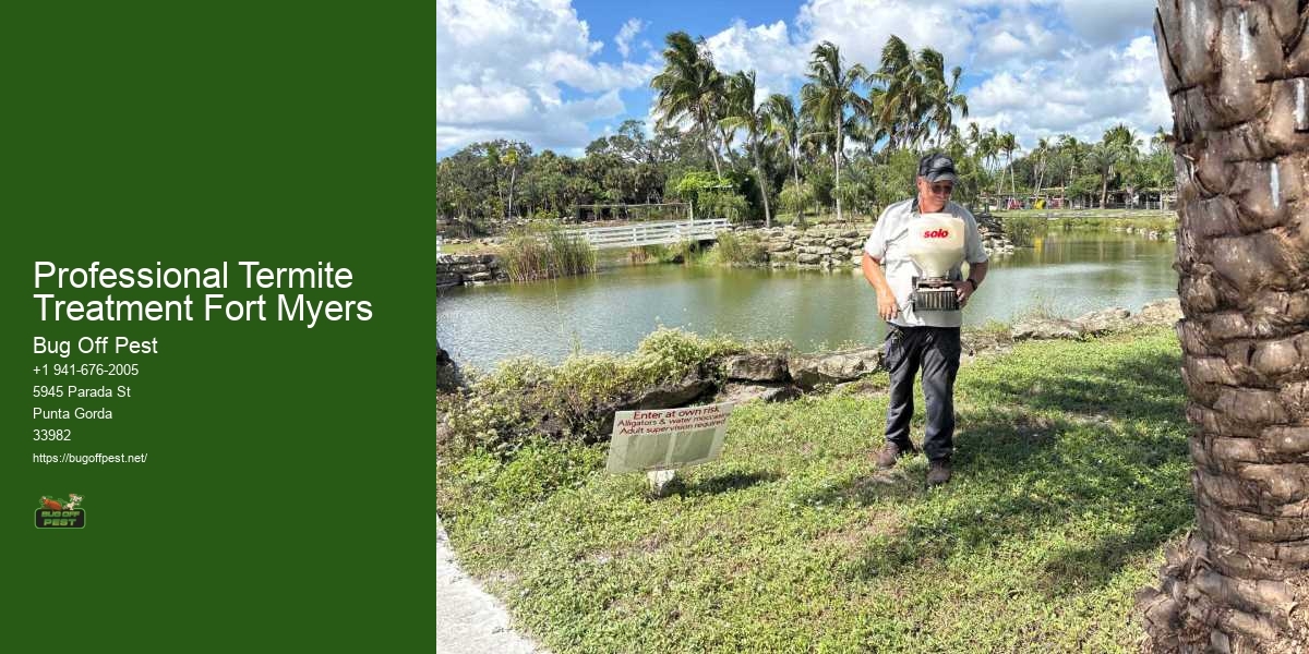 Professional Termite Treatment Fort Myers