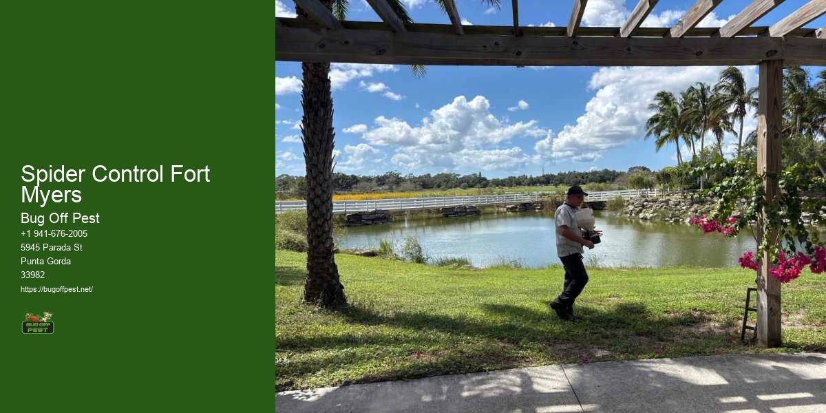 Spider Control Fort Myers