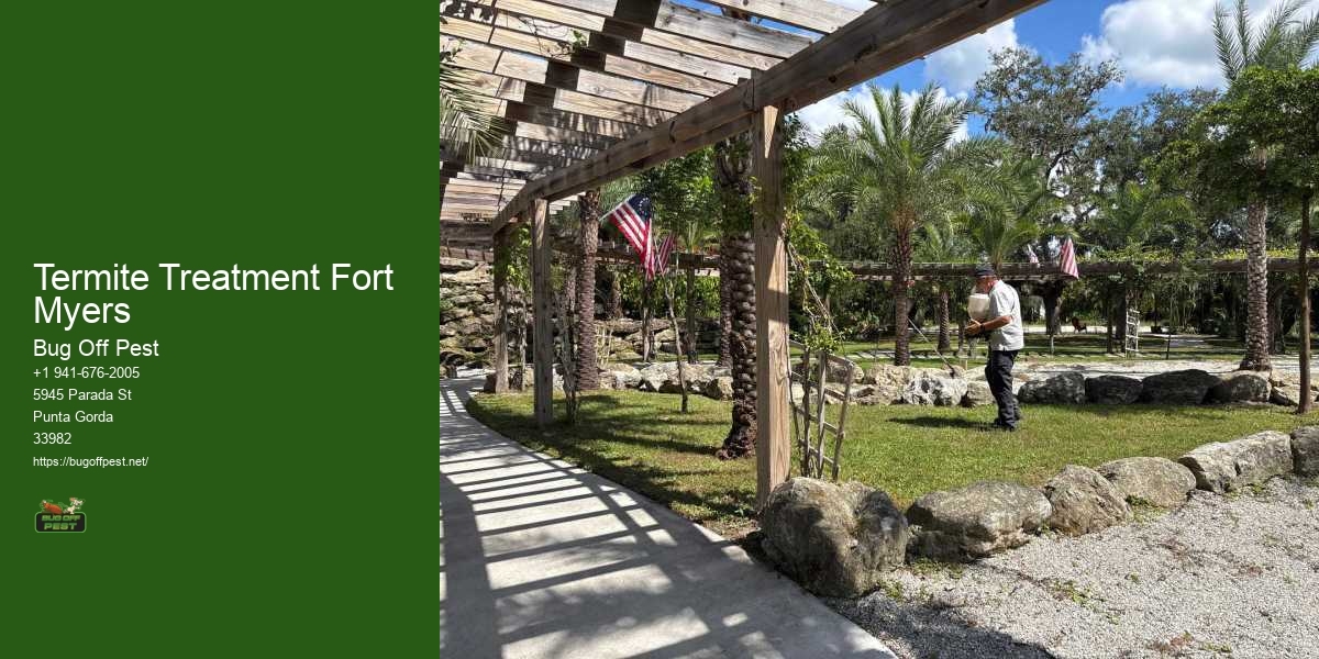 Termite Treatment Fort Myers