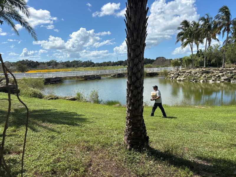 Affordable rodent control Fort Myers Florida