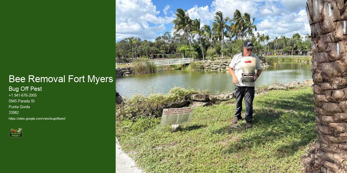 Bee Removal Fort Myers