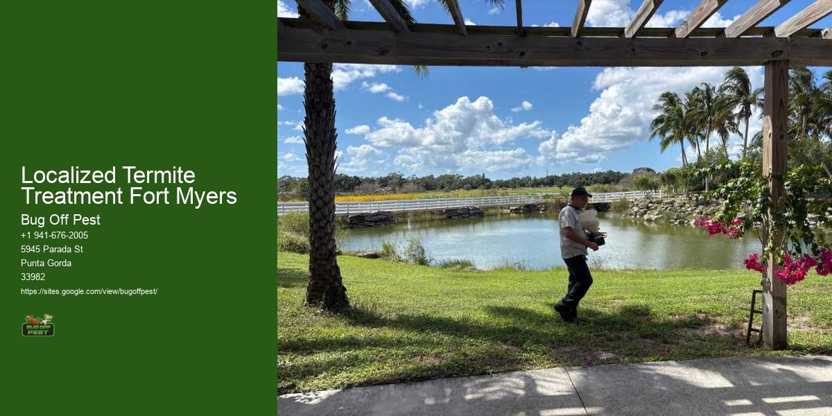 Localized Termite Treatment Fort Myers