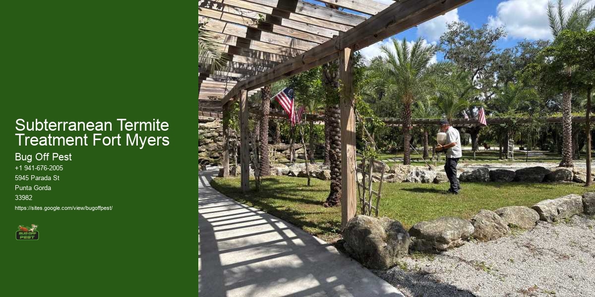 Subterranean Termite Treatment Fort Myers