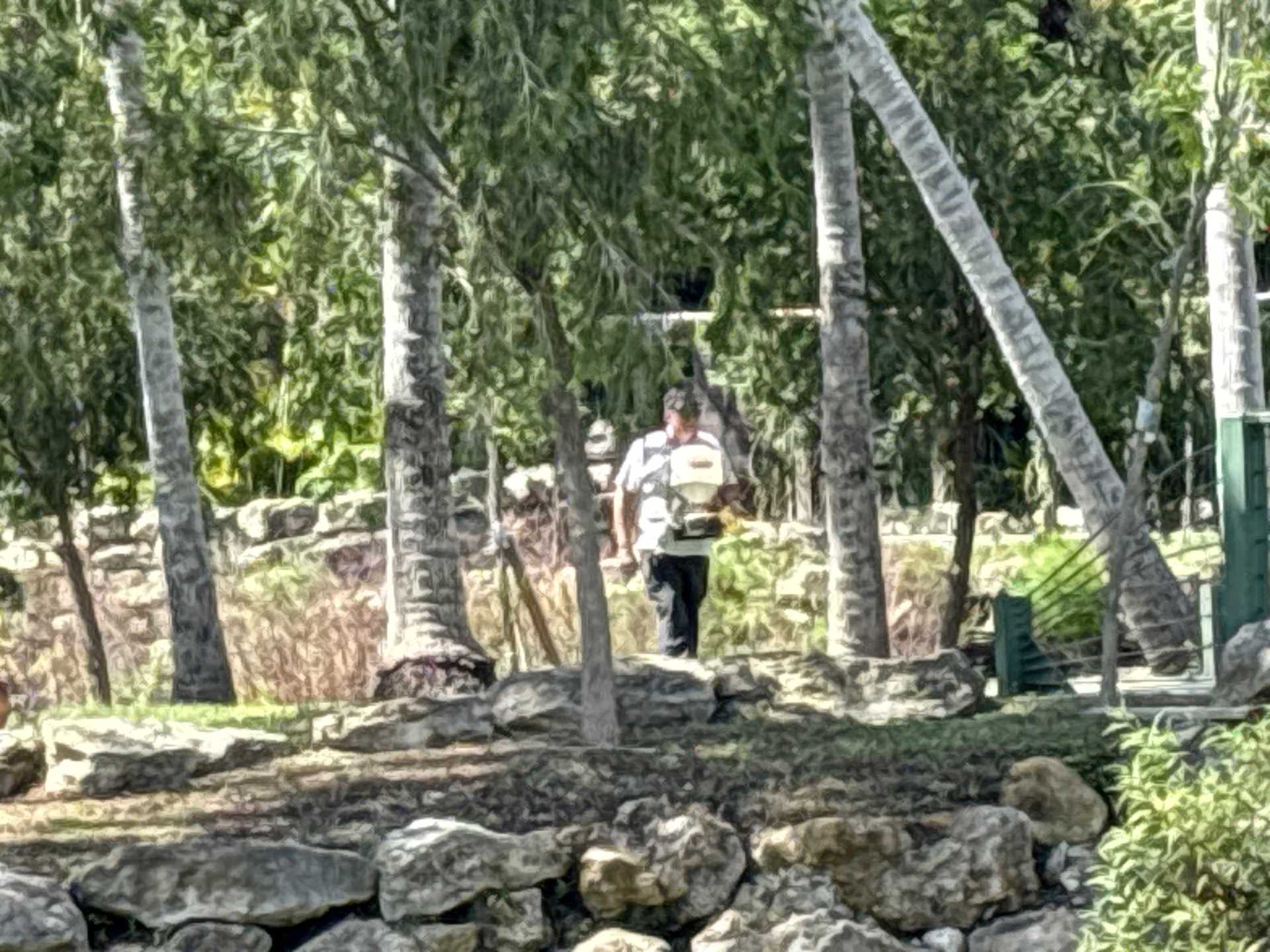 Ant Nest Removal North Port