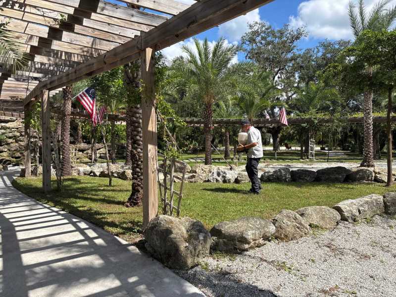 Termite removal North Port