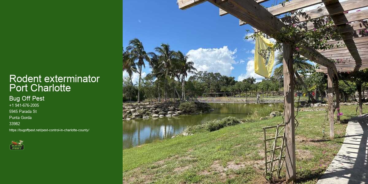 Rodent exterminator Port Charlotte