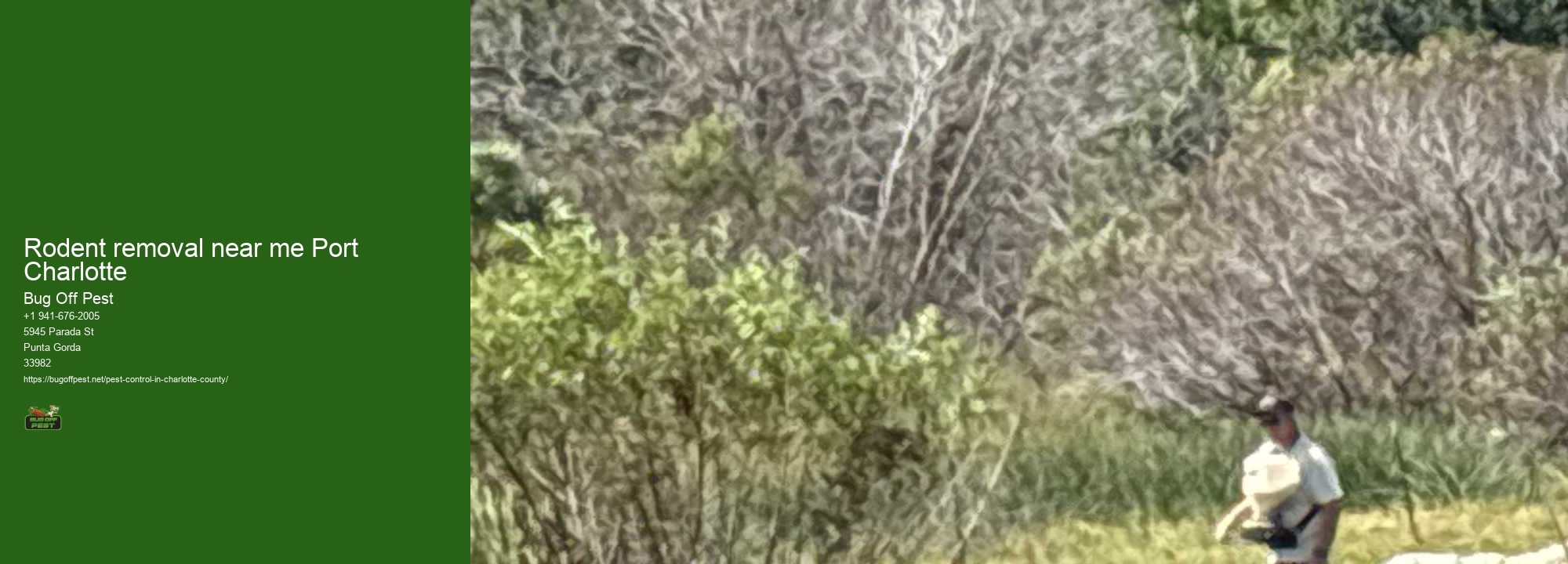 Rodent removal near me Port Charlotte