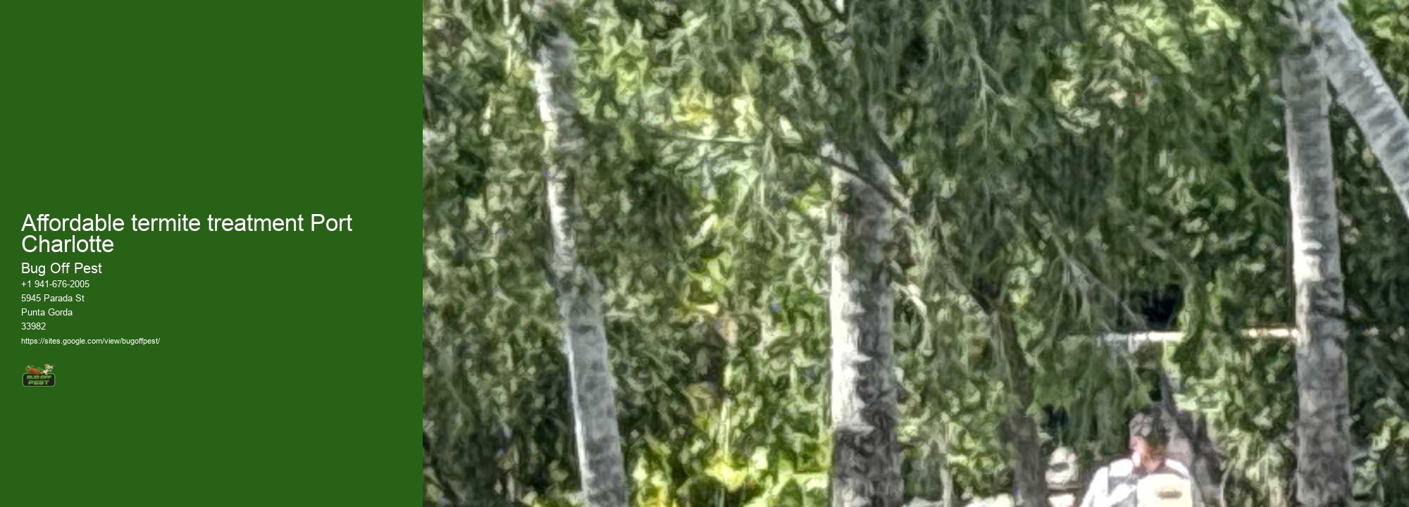 Affordable termite treatment Port Charlotte